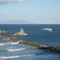 mangawhai head