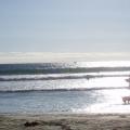 California, San Diego - Ocean Beach